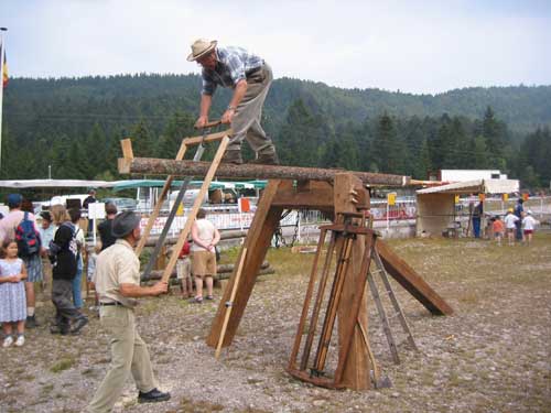 Hoe planken manueel uit een stam zagen?